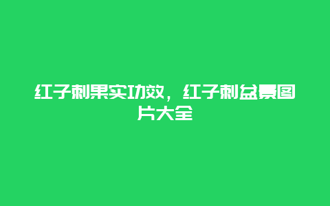 红子刺果实功效，红子刺盆景图片大全