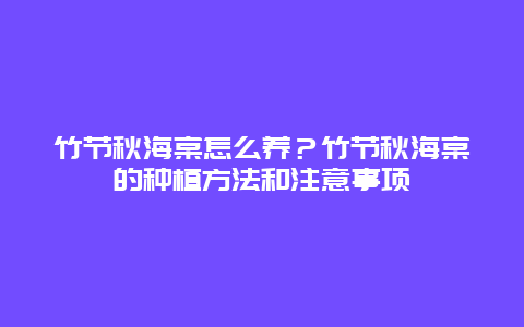 竹节秋海棠怎么养？竹节秋海棠的种植方法和注意事项