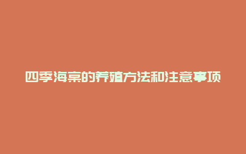 四季海棠的养殖方法和注意事项