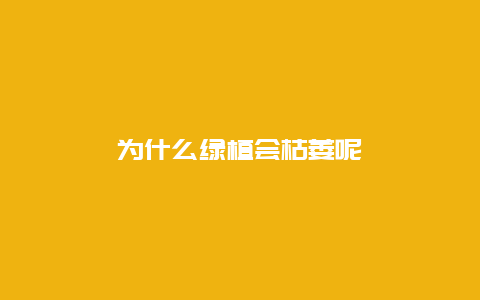 为什么绿植会枯萎呢