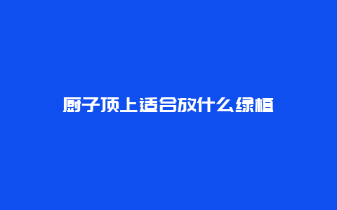 厨子顶上适合放什么绿植