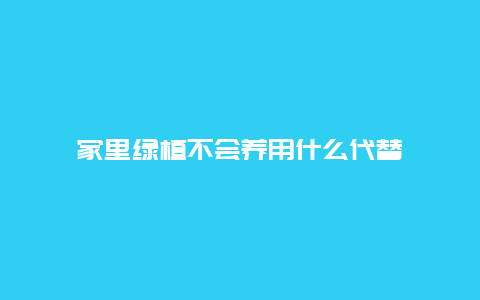 家里绿植不会养用什么代替