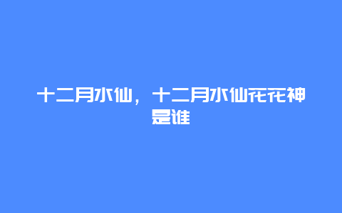 十二月水仙，十二月水仙花花神是谁