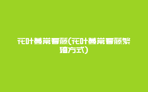 花叶蔓常春藤(花叶蔓常春藤繁殖方式)