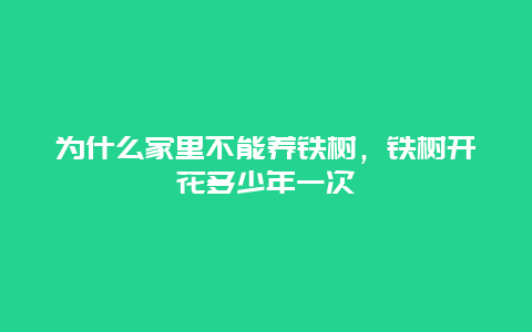 为什么家里不能养铁树，铁树开花多少年一次