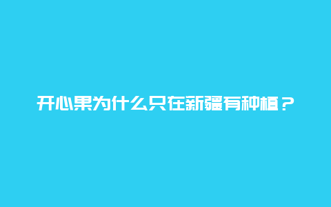 开心果为什么只在新疆有种植？