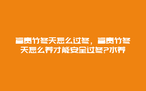 富贵竹冬天怎么过冬，富贵竹冬天怎么养才能安全过冬?水养