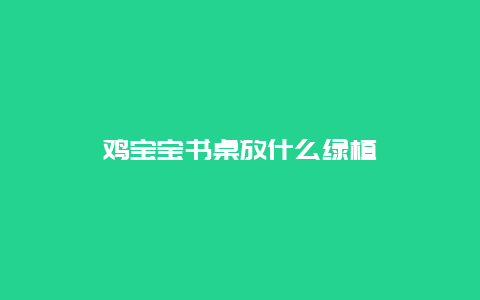 鸡宝宝书桌放什么绿植