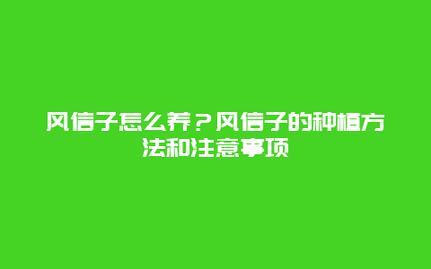 风信子怎么养？风信子的种植方法和注意事项