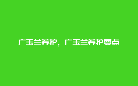 广玉兰养护，广玉兰养护要点