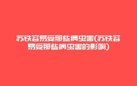 苏铁容易受那些病虫害(苏铁容易受那些病虫害的影响)