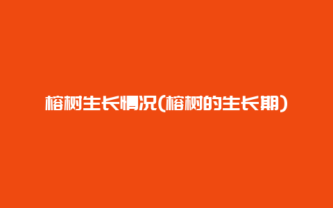 榕树生长情况(榕树的生长期)