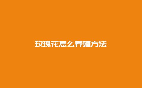 玫瑰花怎么养殖方法