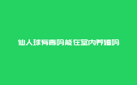 仙人球有毒吗能在室内养殖吗