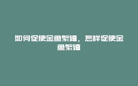 如何促使金鱼繁殖，怎样促使金鱼繁殖