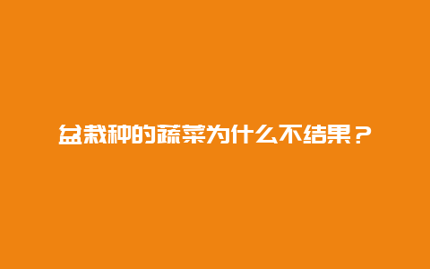 盆栽种的蔬菜为什么不结果？