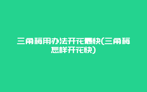 三角梅用办法开花最快(三角梅怎样开花快)