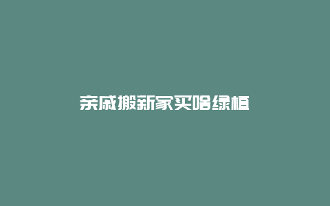 亲戚搬新家买啥绿植