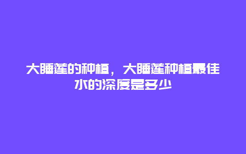 大睡莲的种植，大睡莲种植最佳水的深度是多少