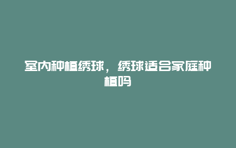 室内种植绣球，绣球适合家庭种植吗