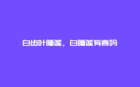 白齿叶睡莲，白睡莲有毒吗