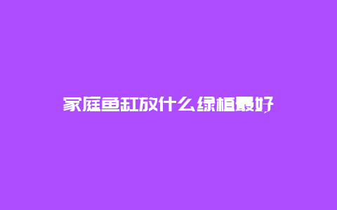 家庭鱼缸放什么绿植最好