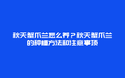 秋天蟹爪兰怎么养？秋天蟹爪兰的种植方法和注意事项