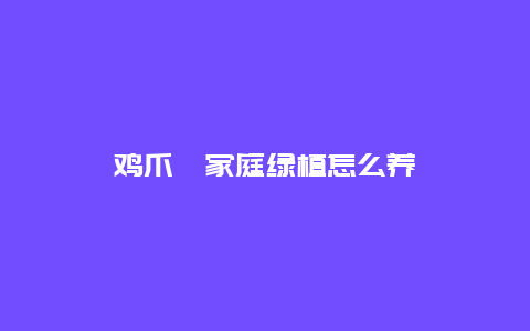 鸡爪槭家庭绿植怎么养