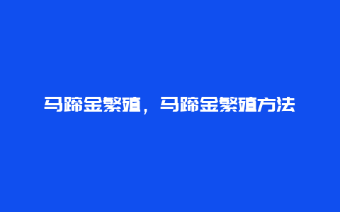 马蹄金繁殖，马蹄金繁殖方法