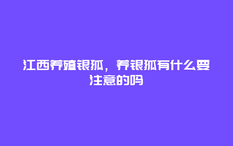 江西养殖银狐，养银狐有什么要注意的吗