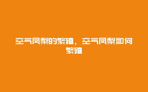 空气凤梨的繁殖，空气凤梨如何繁殖