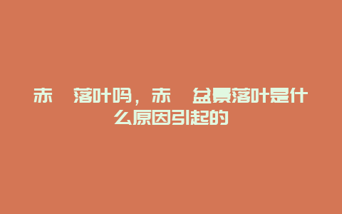 赤楠落叶吗，赤楠盆景落叶是什么原因引起的