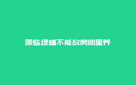 哪些绿植不能放房间里养