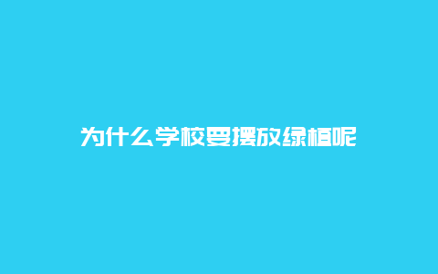 为什么学校要摆放绿植呢