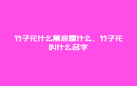 竹子花什么寓意是什么，竹子花叫什么名字