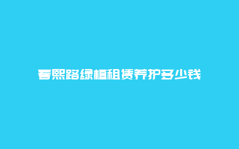 春熙路绿植租赁养护多少钱