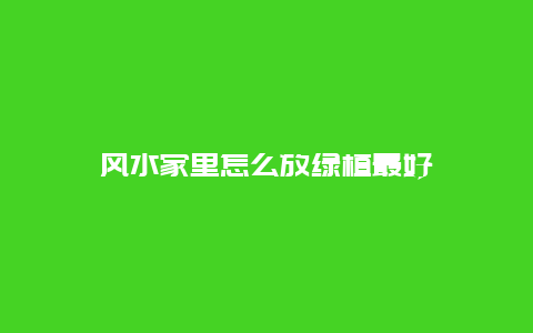 风水家里怎么放绿植最好