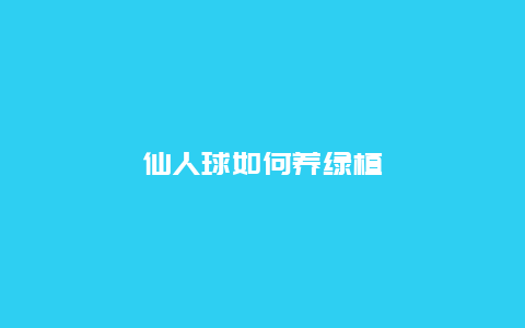 仙人球如何养绿植