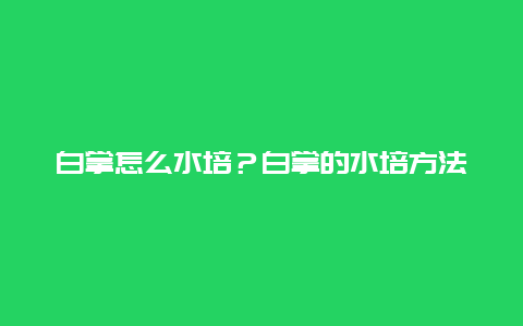 白掌怎么水培？白掌的水培方法