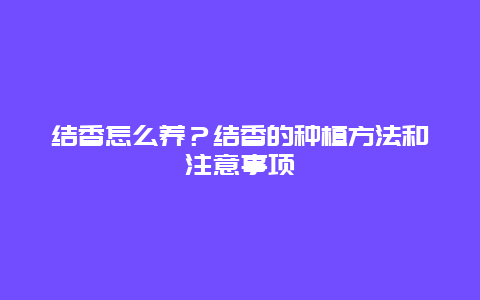 结香怎么养？结香的种植方法和注意事项