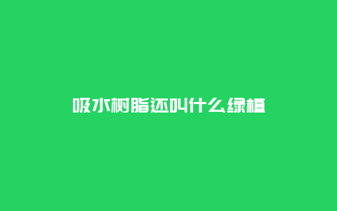 吸水树脂还叫什么绿植