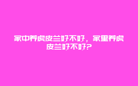 家中养虎皮兰好不好，家里养虎皮兰好不好?