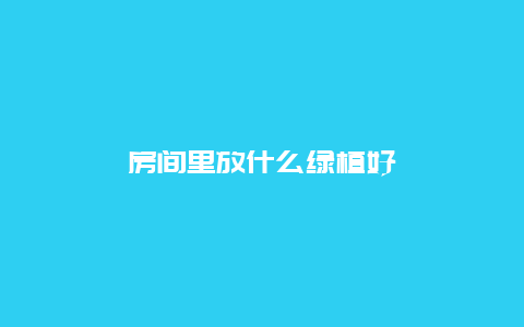 房间里放什么绿植好