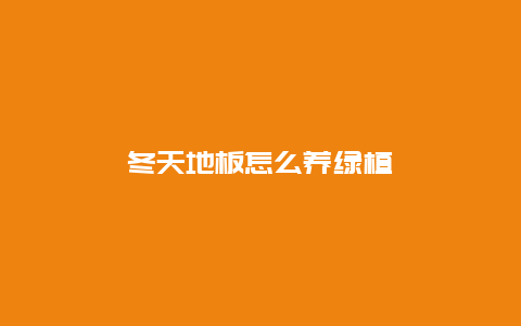 冬天地板怎么养绿植