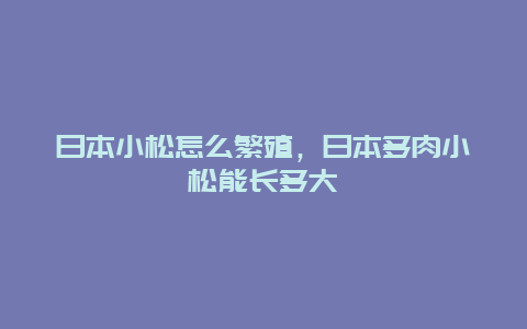 日本小松怎么繁殖，日本多肉小松能长多大