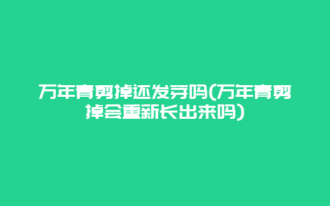 万年青剪掉还发芽吗(万年青剪掉会重新长出来吗)