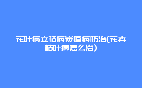 花叶病立枯病炭疽病防治(花卉枯叶病怎么治)