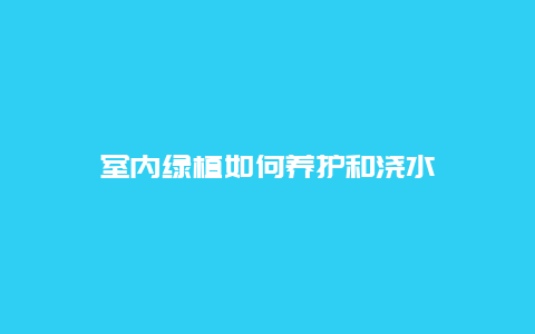 室内绿植如何养护和浇水