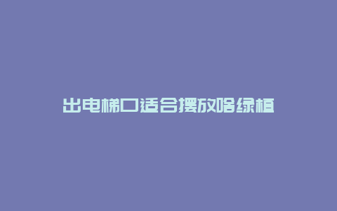 出电梯口适合摆放啥绿植