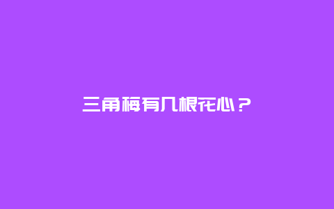 三角梅有几根花心？